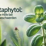 Prostaphytol: Natürliche Hilfe bei Prostatabeschwerden