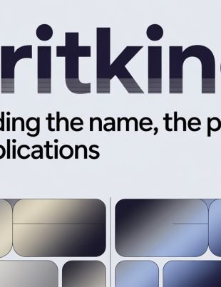 Meritking: Understanding the Name, the Platform, and the Implications