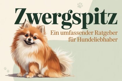 Zwergspitz: Ein umfassender Ratgeber für Hundeliebhaber