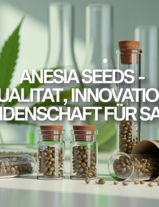 Anesia Seeds – Qualität, Innovation und Leidenschaft für Saatgut