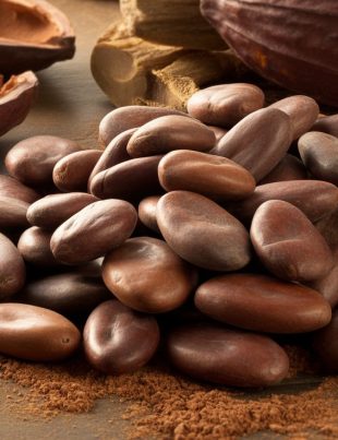 Rohkakao – Das ursprüngliche Gold der Kakaobohne