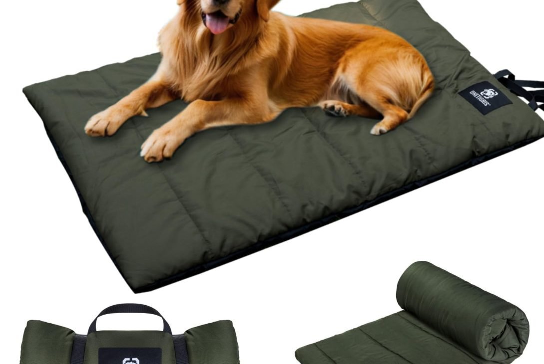 Welche Hundematte soll man wählen: Komfort, Gesundheit und Langlebigkeit