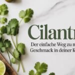 Cilantro: Der einfache Weg zu mehr Geschmack in deiner Küche