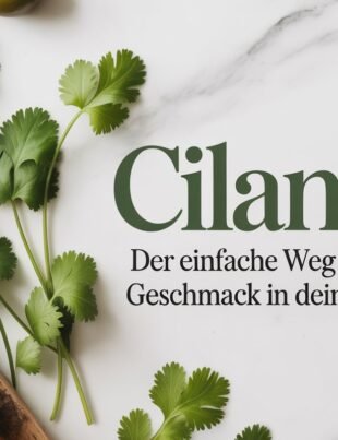 Cilantro: Der einfache Weg zu mehr Geschmack in deiner Küche