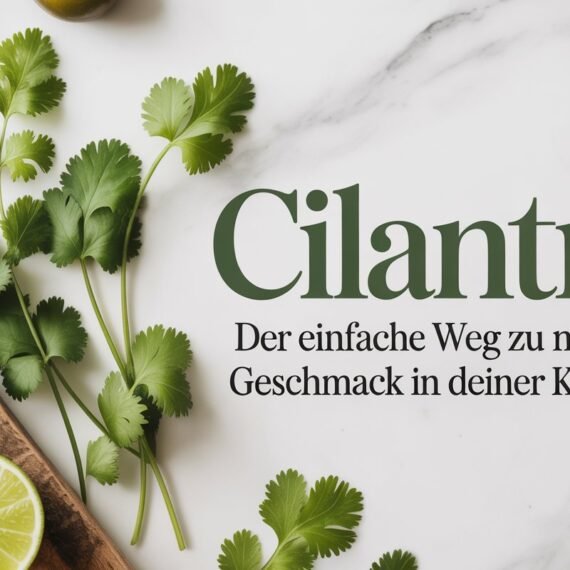 Cilantro: Der einfache Weg zu mehr Geschmack in deiner Küche