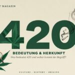 420 Bedeutung: Was bedeutet 420 und woher kommt der Begriff?