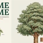 Ulme: Arten, Blätter, Pflege und Wissenswertes über den Baum